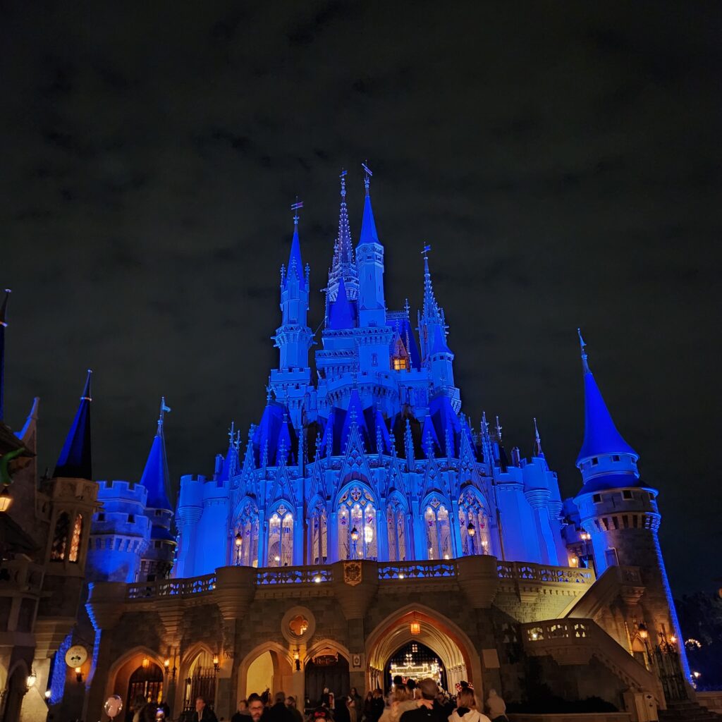 Cinderella Castle at Night from behind