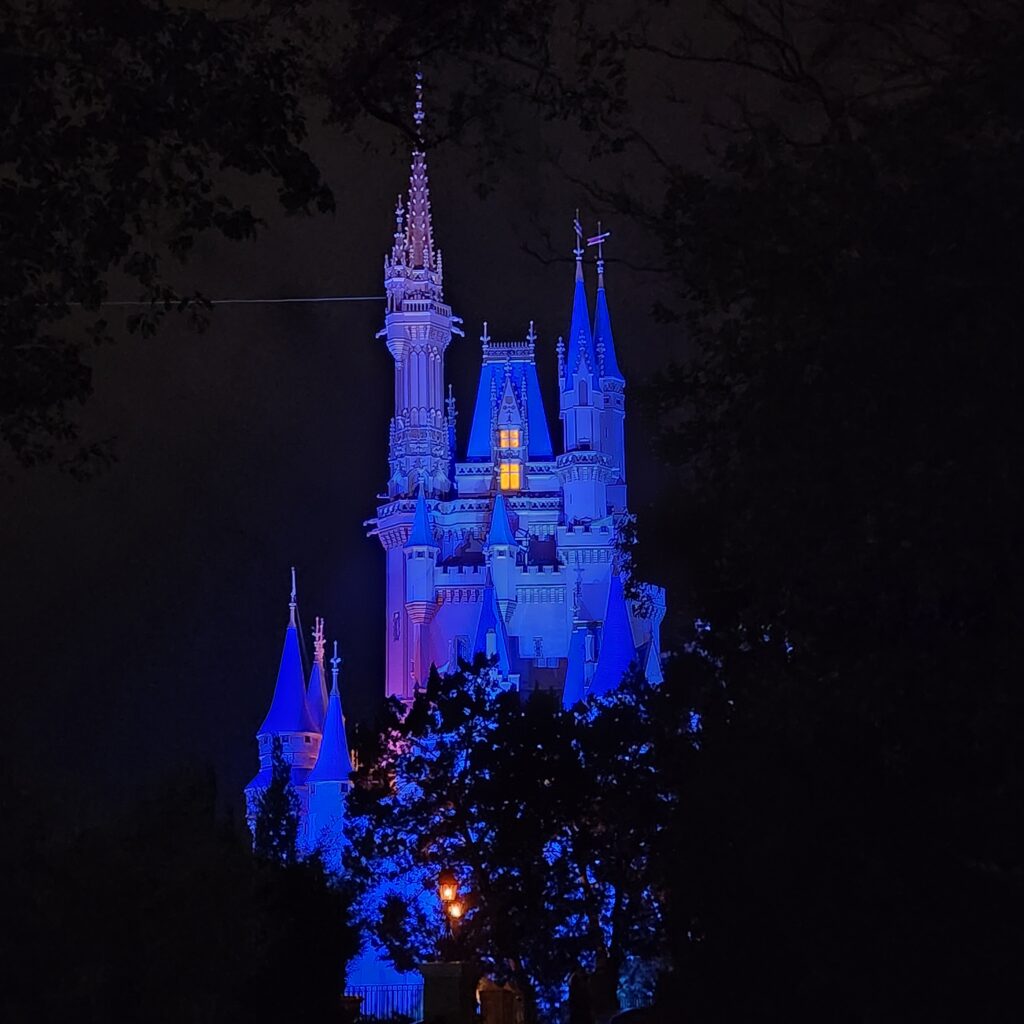 Cinderella Castle at Night from the side