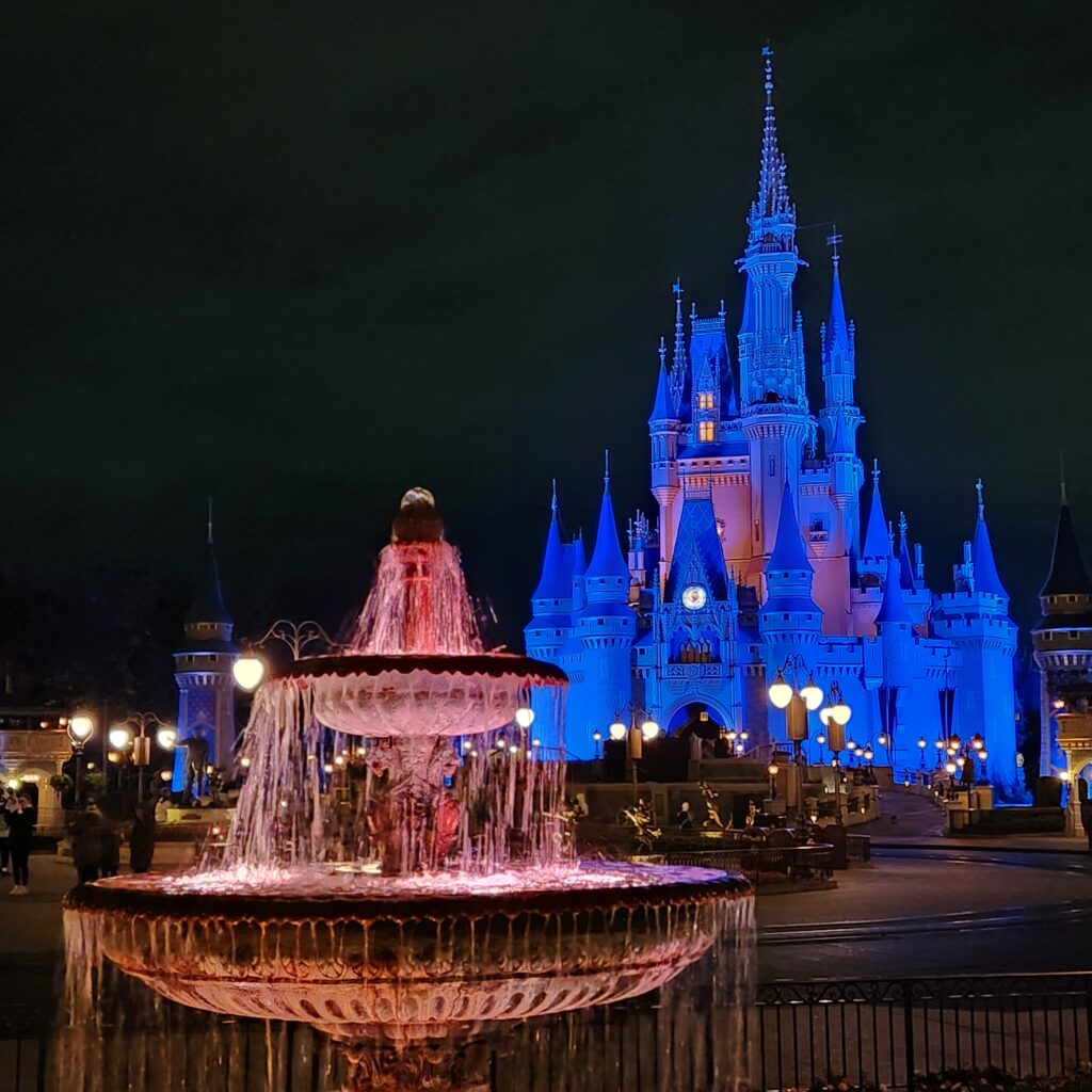 Cinderella Castle and Fountain at night